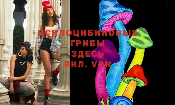 стаф Алексеевка