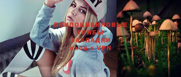 стаф Алексеевка