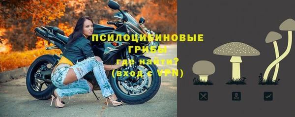 стаф Алексеевка