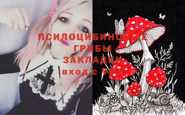 стаф Алексеевка