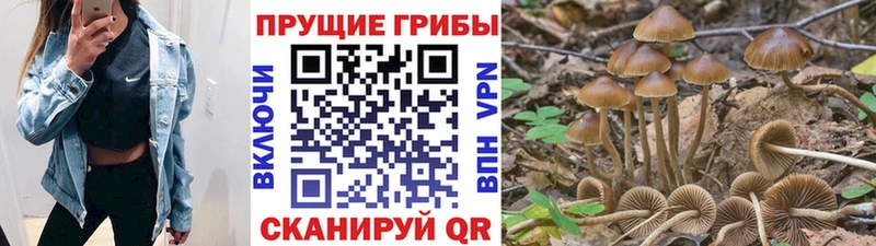 Галлюциногенные грибы MAGIC MUSHROOMS  Рошаль 
